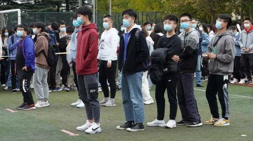 藏金阁免费视频,免费视频带你领略古董收藏的魅力