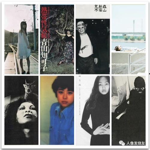 黄片大全视频,一场视觉与道德的碰撞之旅