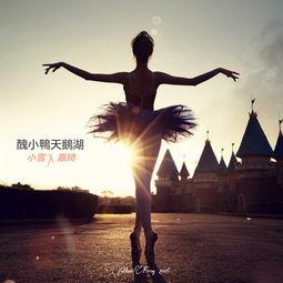 水草舞钢琴曲教学视频,轻松掌握经典旋律