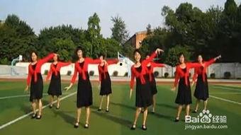 学习广场舞视频,跟随视频轻松学会热门舞步