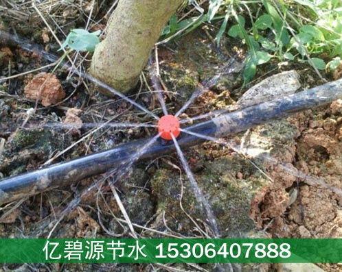 果树滴灌视频,果树滴灌技术实践与成效展示