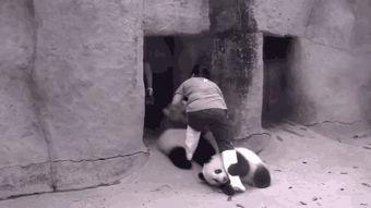 奶妈喂奶视频,母爱如潮涌动人心