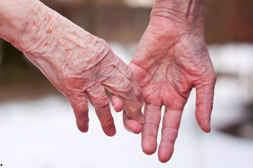 sex中国老人视频